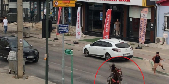 bursada-dehset-basibos-pitbull-kopek-basibos-ata-saldirdi-fAU7ySxE.jpg