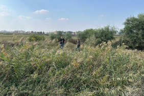 sazlikta-korkunc-manzara-parcalanmis-ceset-bulundu-vObddB42.jpg