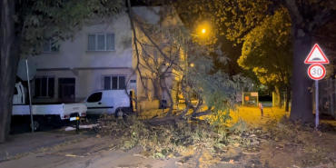 bursa-buyuksehir-belediyesi-lodosa-karsi-uyardi-6MeUSCau.jpg