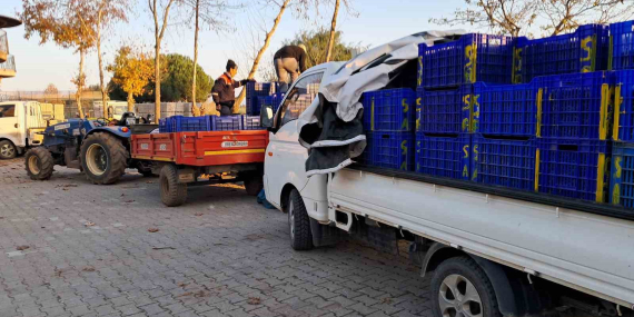bursada-zeytin-ureticilerinin-tarim-kredi-cilesi-Qb35iYtR.jpg