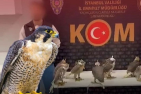 hizlari-390-kilometreyi-geciyor-hepsi-havalimaninda-yakalandi-sahte-pasaport-duzenlemisler-muaDNnXx.jpg