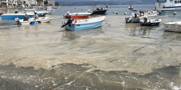 marmara-denizinde-bursa-kiyilarinda-musilaj-goruldu-8O25PGuf.jpg