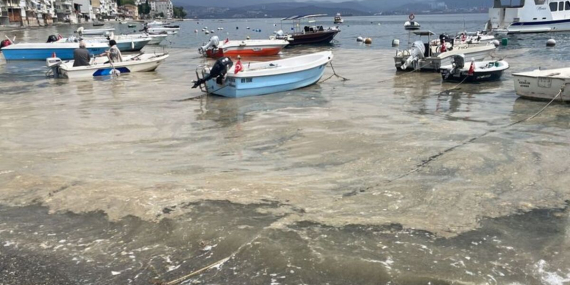 marmara-denizinde-bursa-kiyilarinda-musilaj-goruldu-8O25PGuf.jpg