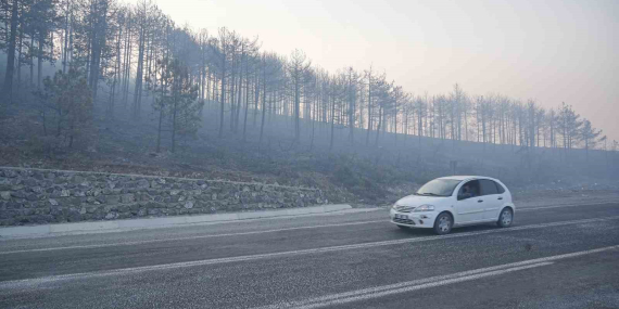 bursadaki-orman-yangini-3-gununde-gokyuzunu-kaplayan-duman-bulutundan-goz-gozu-gormuyor-J1qSk86H.jpg