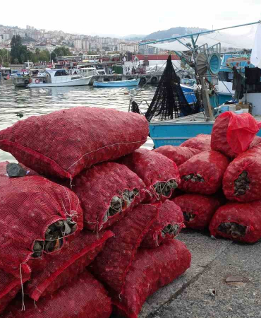 palamut-gibi-onun-da-avi-balikcilari-husrana-ugratti-zWPRRPKU.jpg