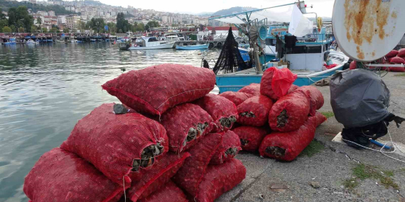 palamut-gibi-onun-da-avi-balikcilari-husrana-ugratti-zWPRRPKU.jpg
