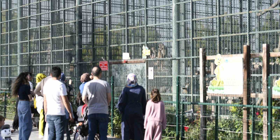 ucretsiz-olan-hayvanat-bahcesine-ziyaretci-akini-1il3rLDZ.jpg