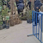bursada-seyyar-saticilardan-zabitaya-bicakli-saldiri-1-zabita-yaralandi-jljOV3Kn.jpg